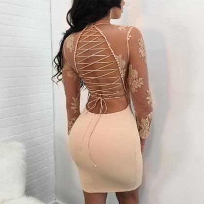 Lace Up Hollow Out Transparent Embroidery Short..