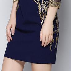 Golden Thread Embroidery Lace Short Dress