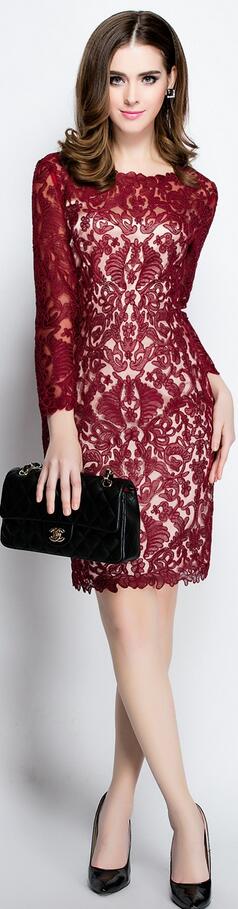 Embroidery Bodycon Long Sleeve Short Dress