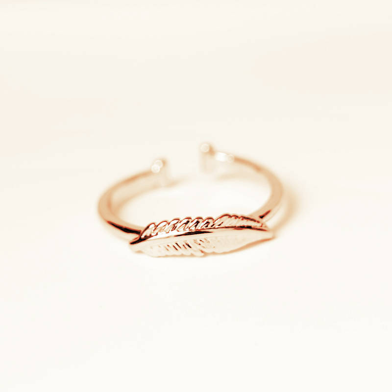 The Fashion Contracted Joker Copper Quality Leaves The Ring